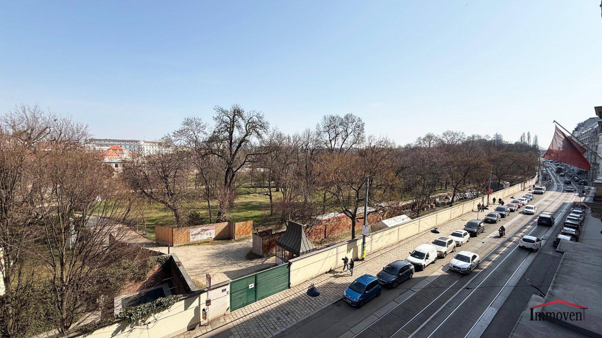 Panoramablick auf einen weitläufigen Stadtpark mit Bäumen und eine parallel verlaufende Straße mit parkenden Fahrzeugen.