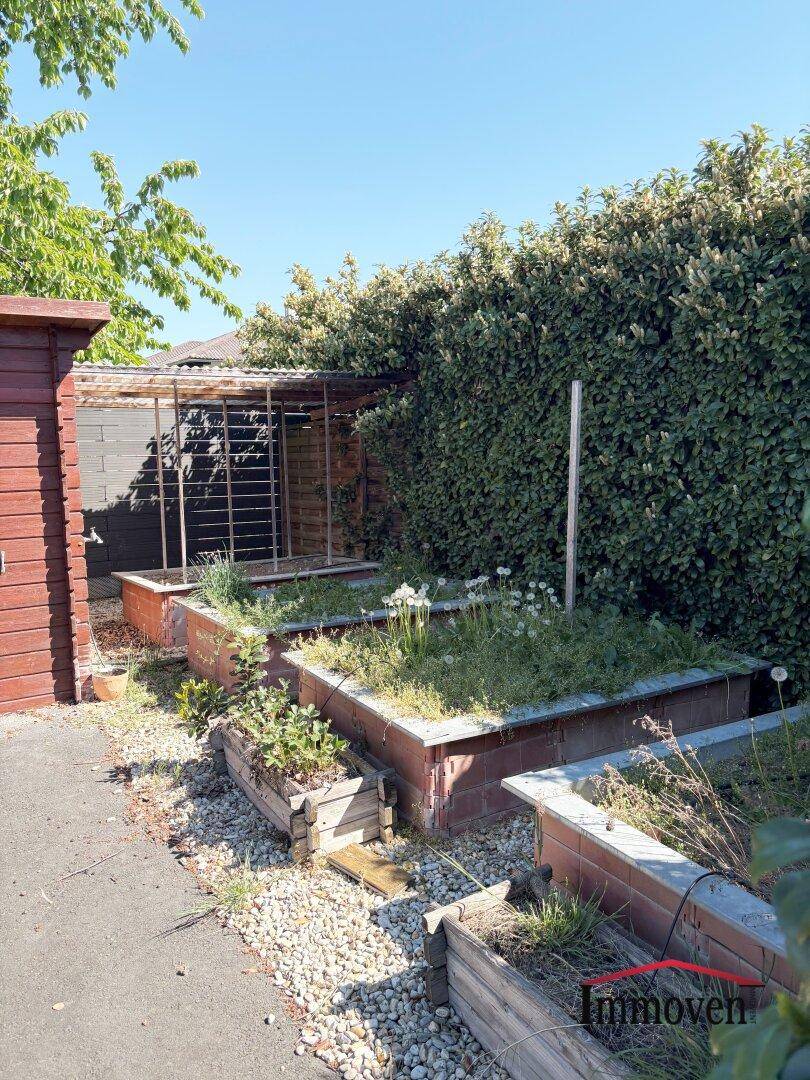 Gartenbereich mit Hochbeeten, einem Geräteschuppen und einer hohen Hecke im Hintergrund.