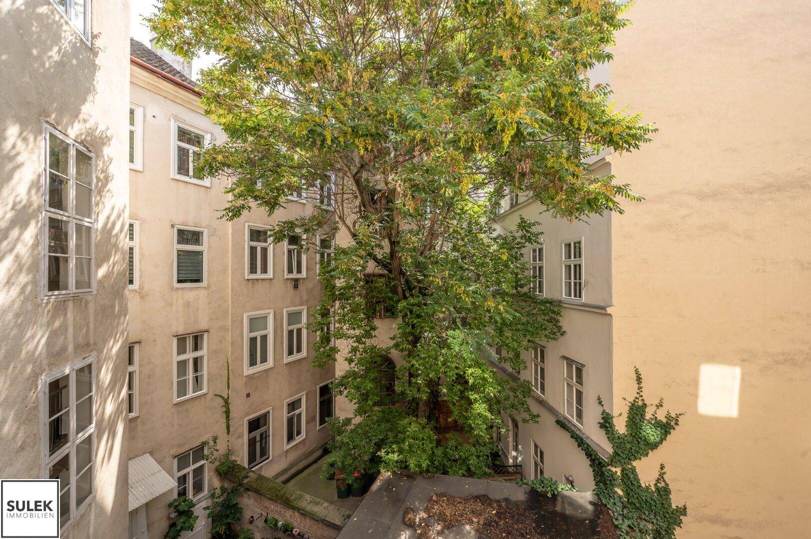 Grüner Innenhof mit altem Baumbestand und umliegenden Gebäuden, bietet Ruhe.