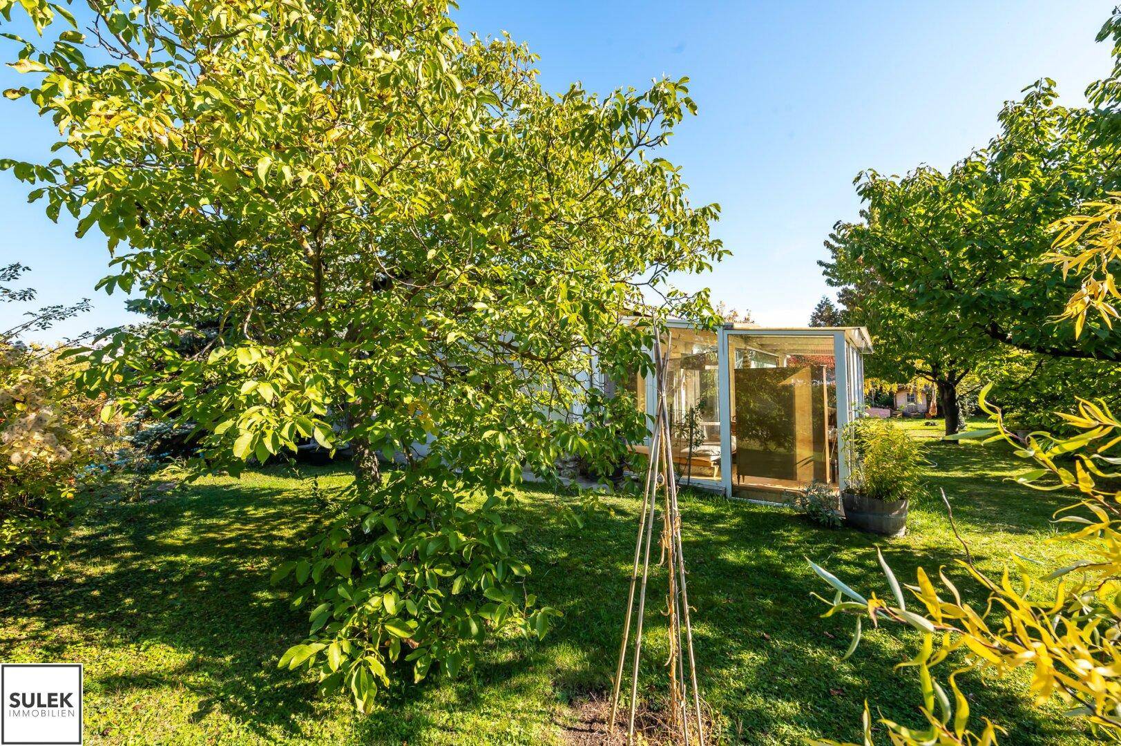 Weitläufiger Garten mit altem Baum und einem Wintergarten am Haus unter blauem Himmel.