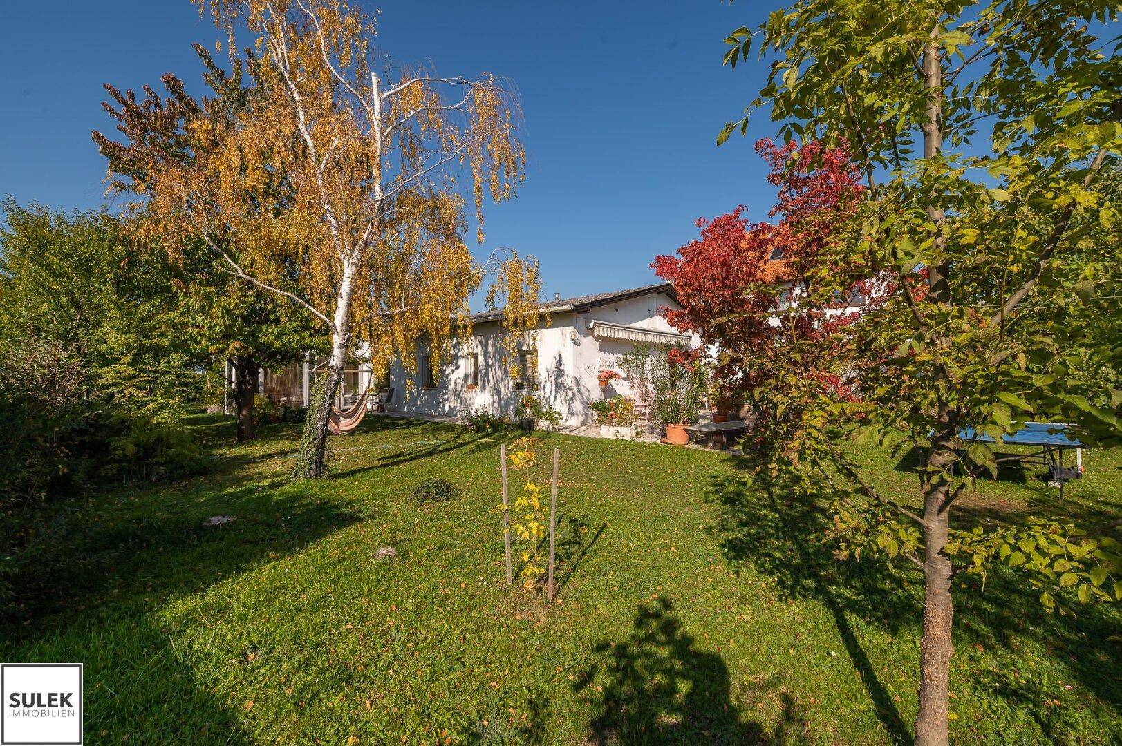 Weitläufiger Garten mit verschiedenen Bäumen und Sträuchern, der das Haus umgibt.