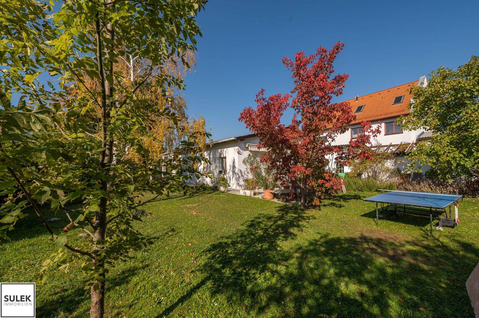 Großer Garten mit Rasenfläche, Bäumen und einem Tischtennistisch, ideal für Freizeitaktivitäten.
