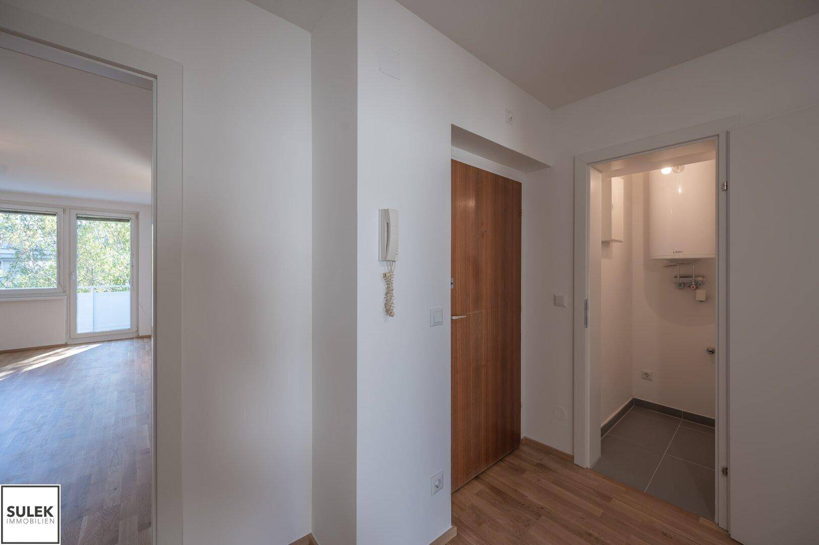 Eingangsbereich mit Holztür und einem kleinen Abstellraum, der die Heizungsanlage beherbergt.