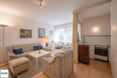 Möblierte 1,5-Zimmer-Wohnung, 33 m², Hietzing, Hietzing