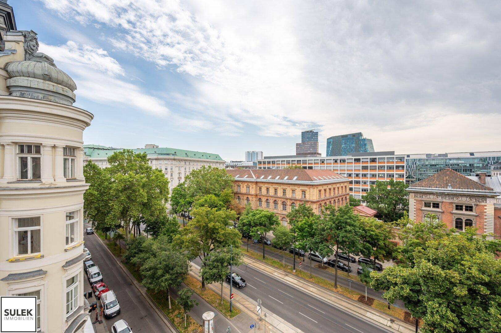 Panoramablick über eine belebte Stadtstraße mit historischen Gebäuden und viel Grün.