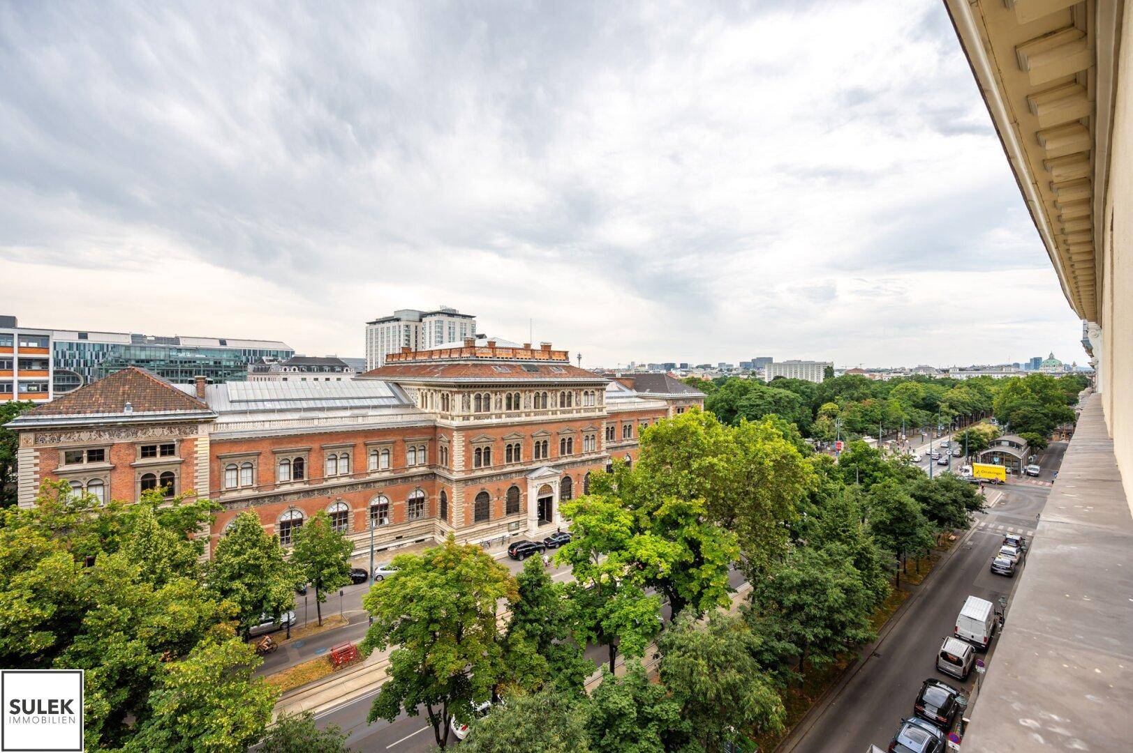 Weitläufiger Blick auf eine städtische Allee mit beeindruckenden Gebäuden und dichtem Baumbestand.