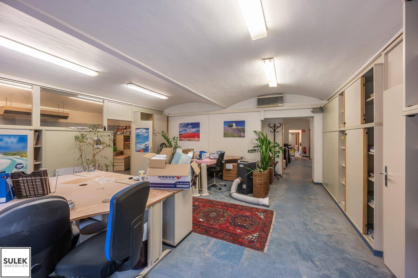 Großes Büro mit mehreren Arbeitsplätzen, Pflanzen und Teppichboden, ideal für ein Team.