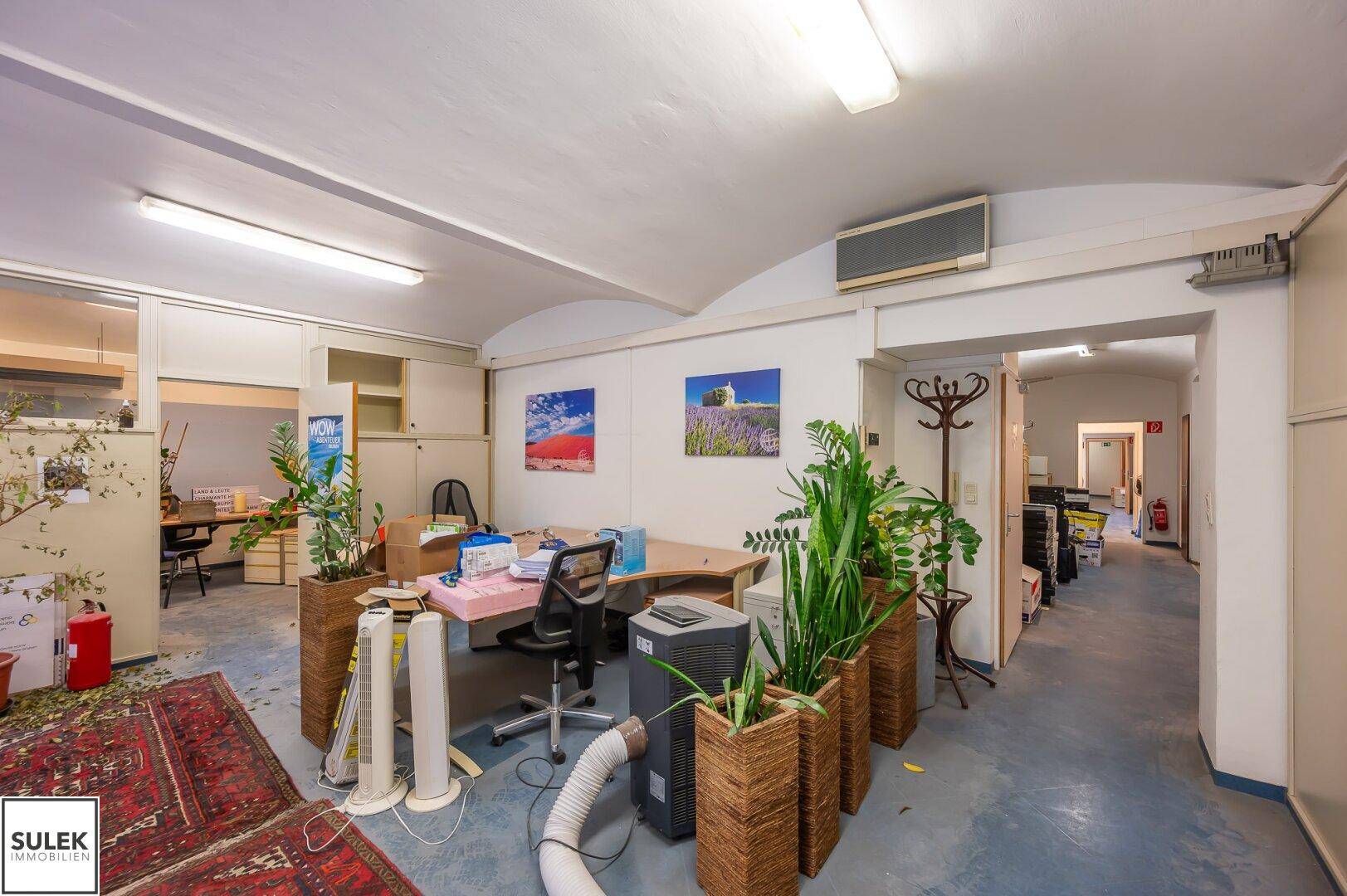 Großes Büro mit mehreren Arbeitsplätzen, Pflanzen und Teppichboden, ideal für ein Team.