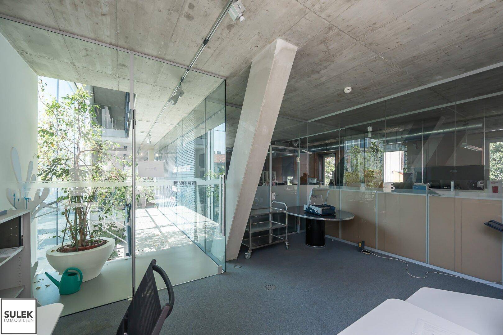 Modernes Büro mit Sichtbetondecke, Glaswänden und viel Tageslicht durch große Fenster.