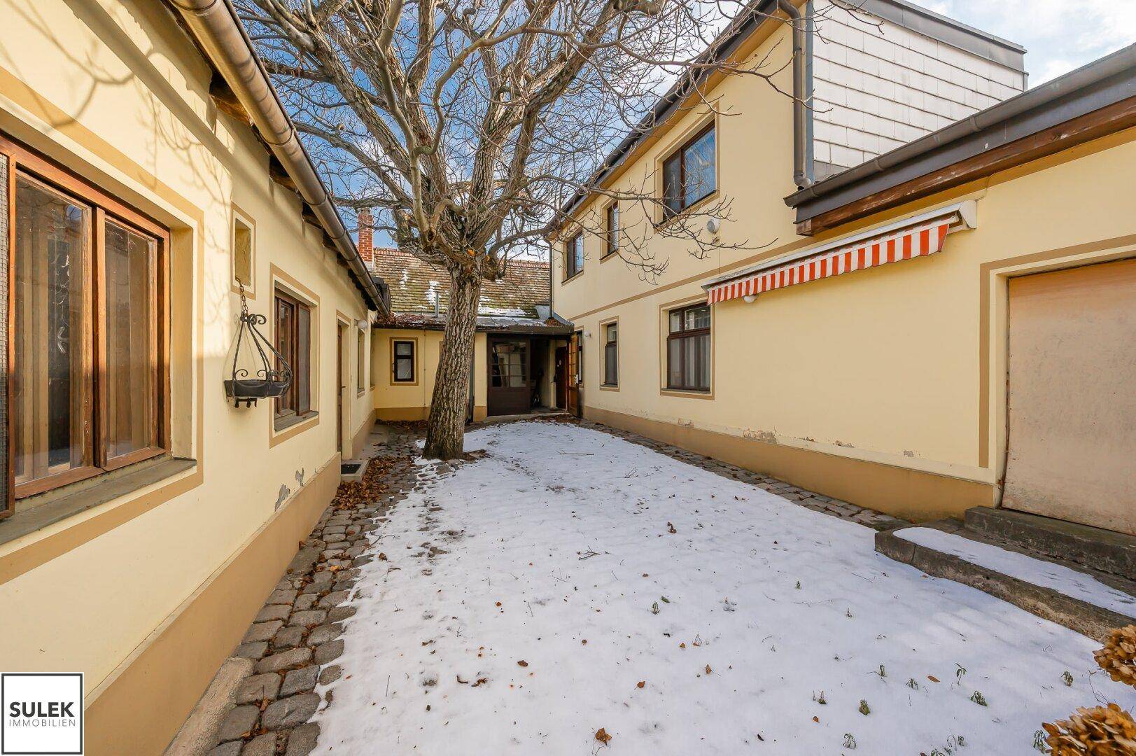 Verschneiter Innenhof mit altem Baum und Zugang zu verschiedenen Gebäudeteilen.