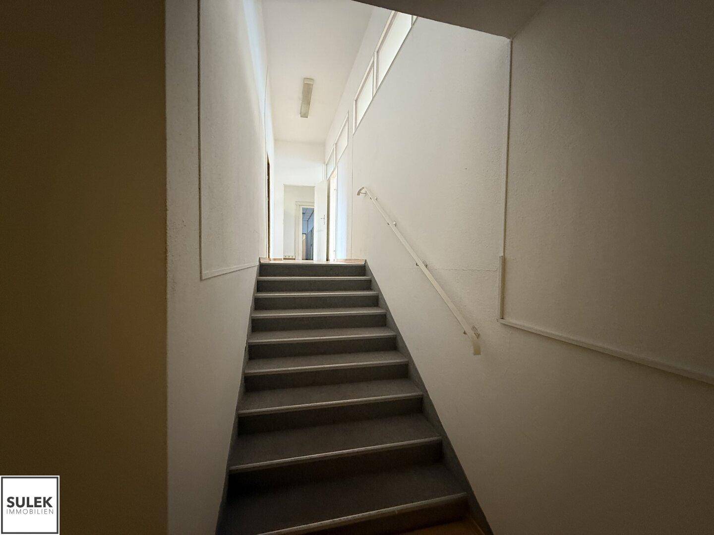 Treppenhaus mit Teppichstufen und Handlauf, das in die obere Etage führt.
