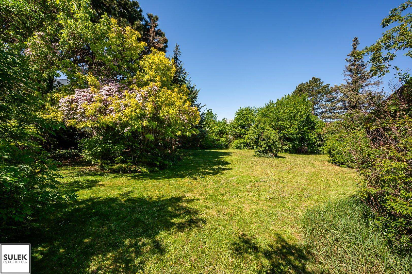 Großer, gepflegter Garten mit Rasenfläche und blühenden Sträuchern unter blauem Himmel.