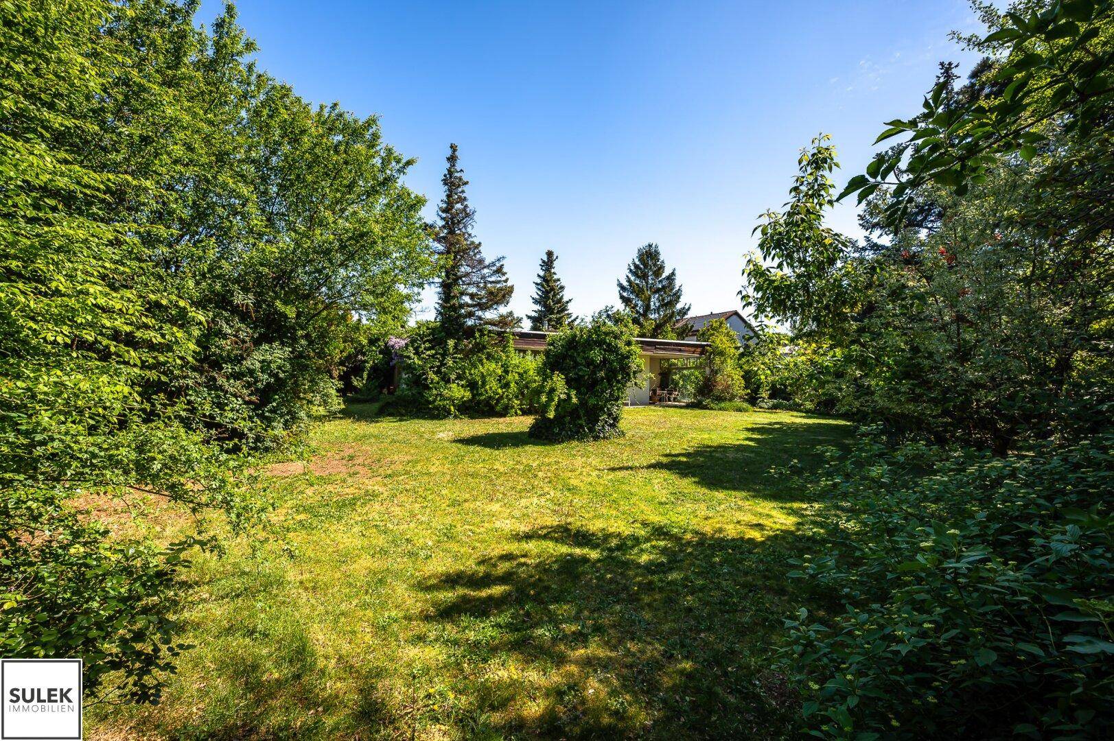 Ein sonniger, gepflegter Garten mit großem Rasen und verschiedenen Bäumen im Hintergrund des Hauses.