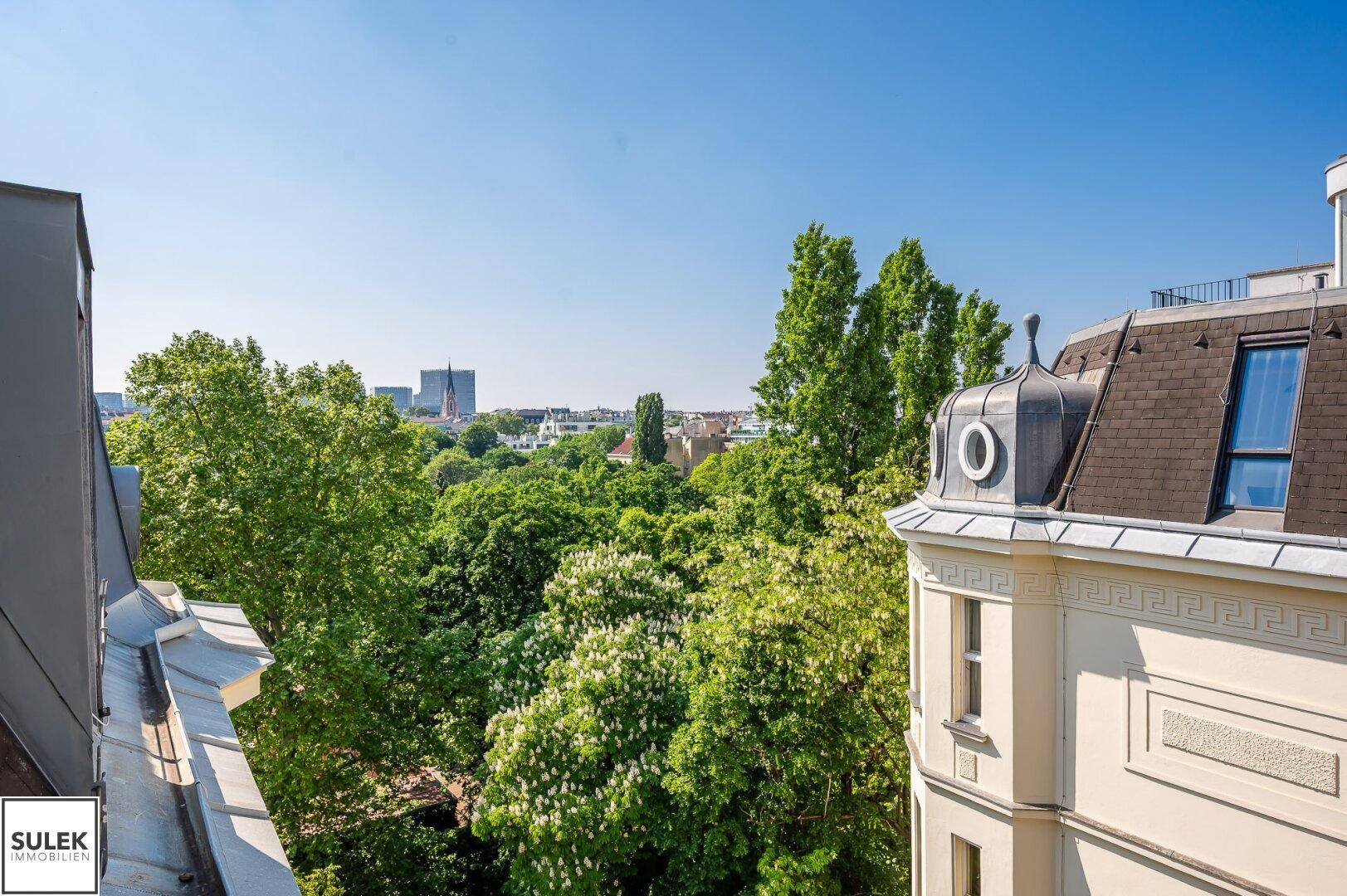 Weitläufiger Blick über grüne Baumwipfel und die Dächer der Stadt an einem sonnigen Tag.