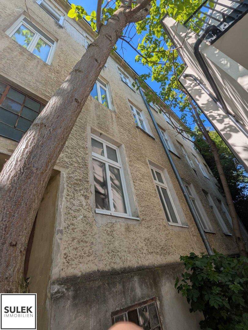 Seitenfassade eines älteren Gebäudes mit vielen Fenstern und einem Baum.