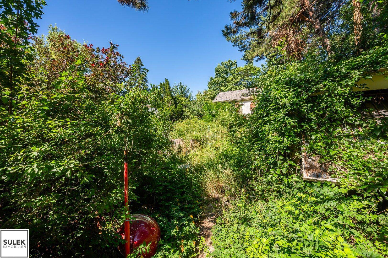Überwucherter Gartenweg führt zu einem versteckten Haus, umgeben von dichter Vegetation und Bäumen.