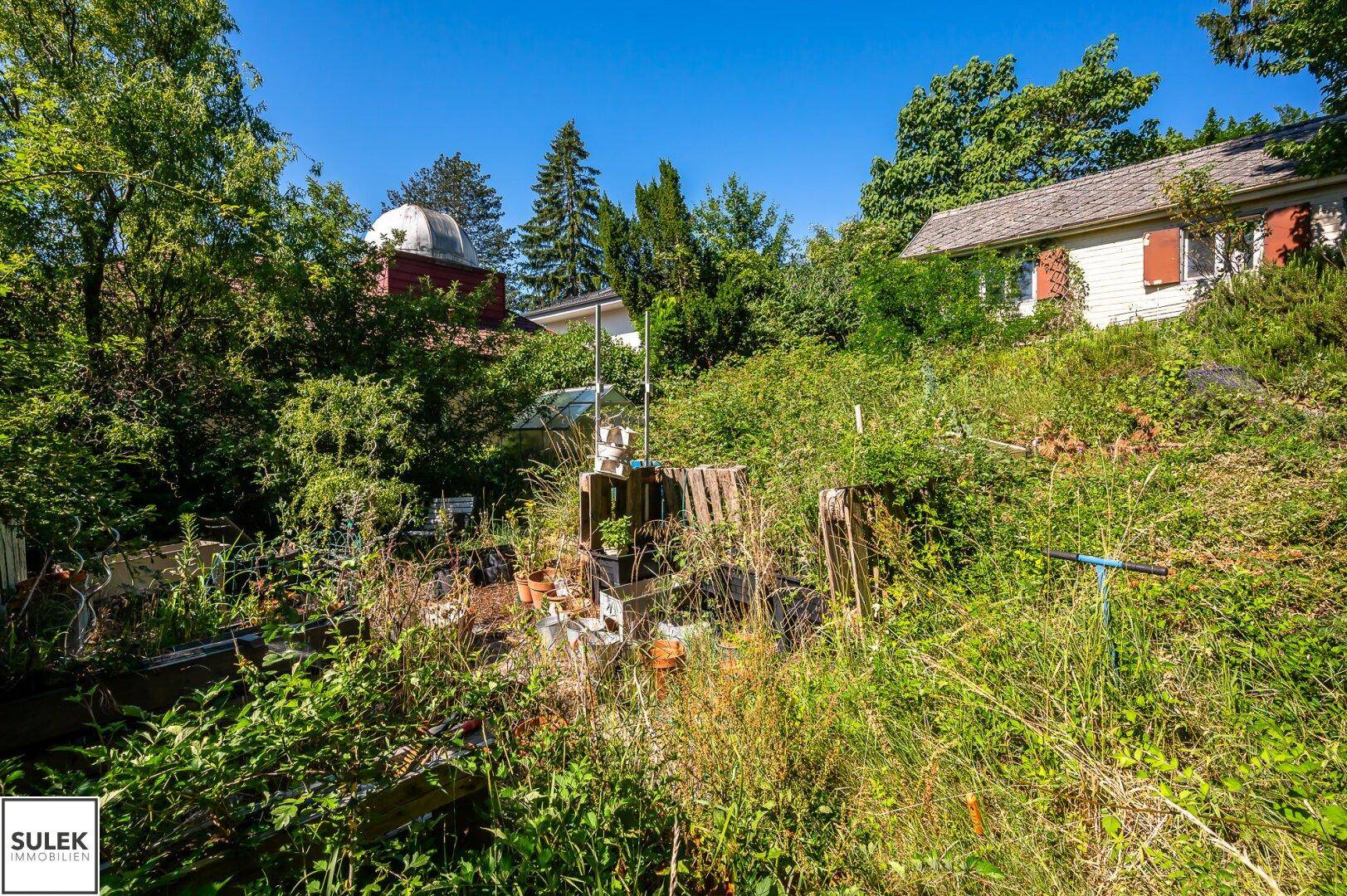 Verwilderter Gartenbereich mit Topfpflanzen und Blick auf ein Haus mit Kuppel im Hintergrund.