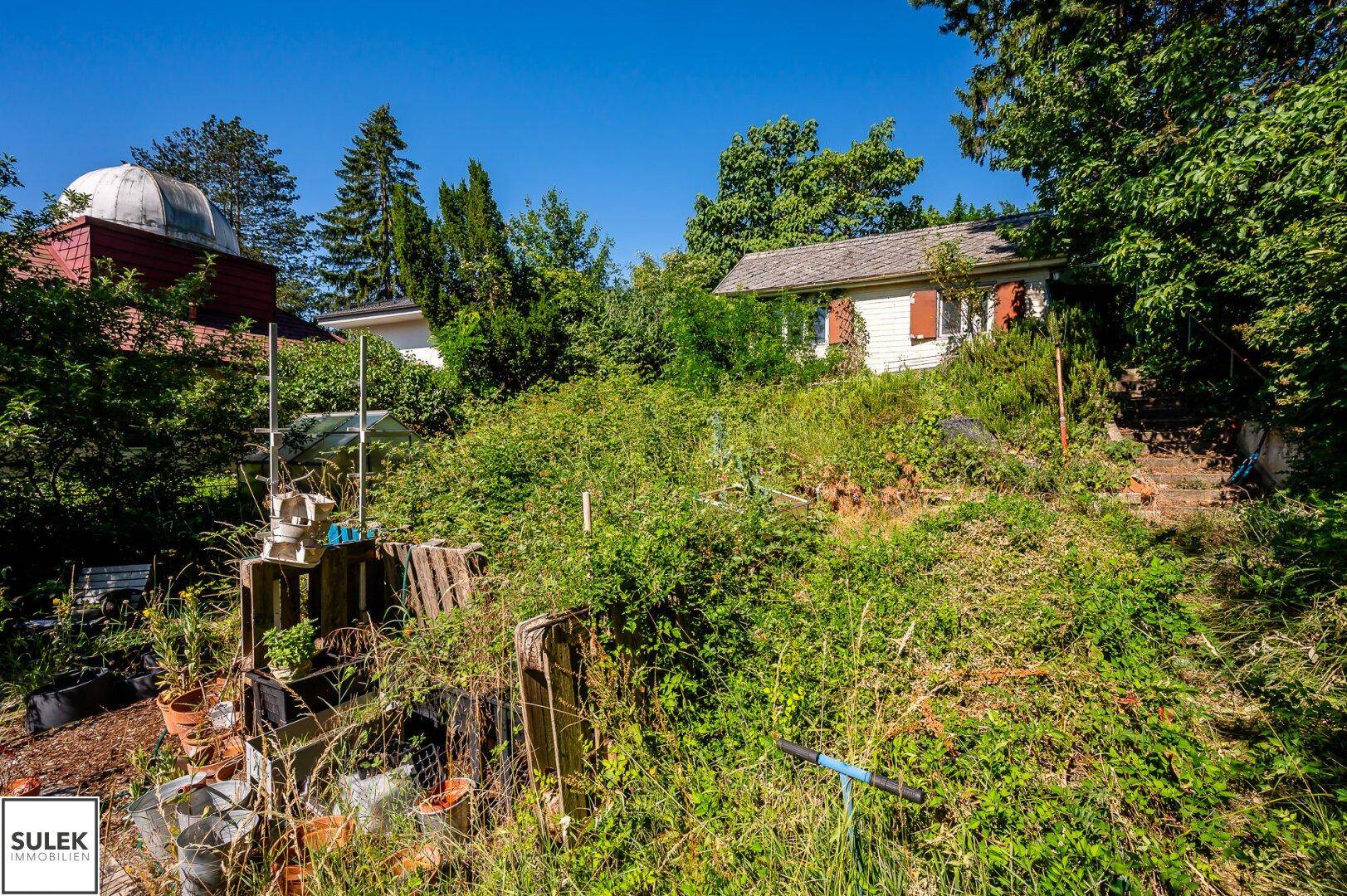 Weitläufiger, verwilderter Garten mit verschiedenen Pflanzen und einem Haus im Hintergrund unter blauem Himmel.