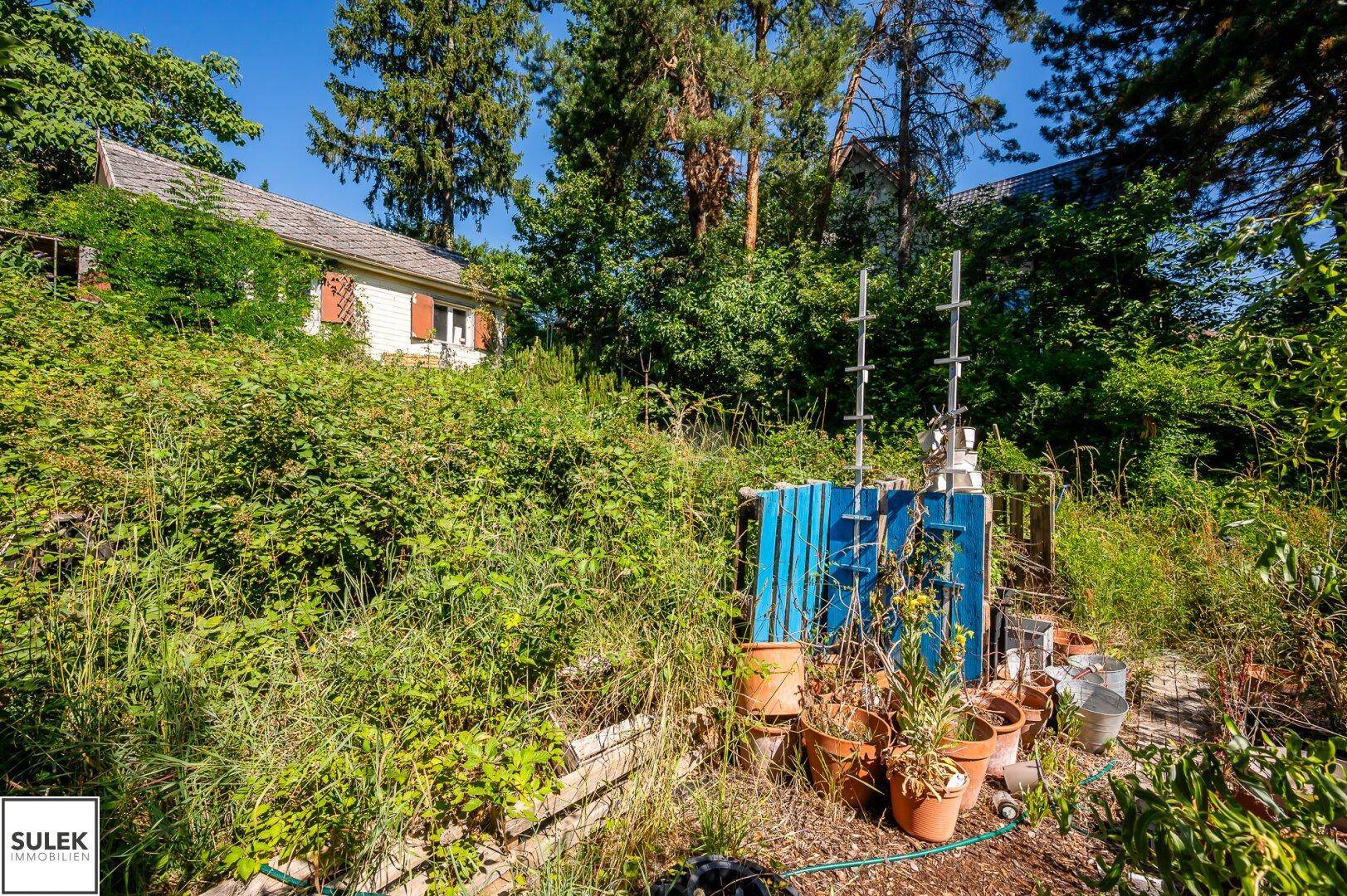Verwilderter Gartenbereich mit Holzstrukturen, Topfpflanzen und einem Haus im Grünen unter strahlendem Himmel.