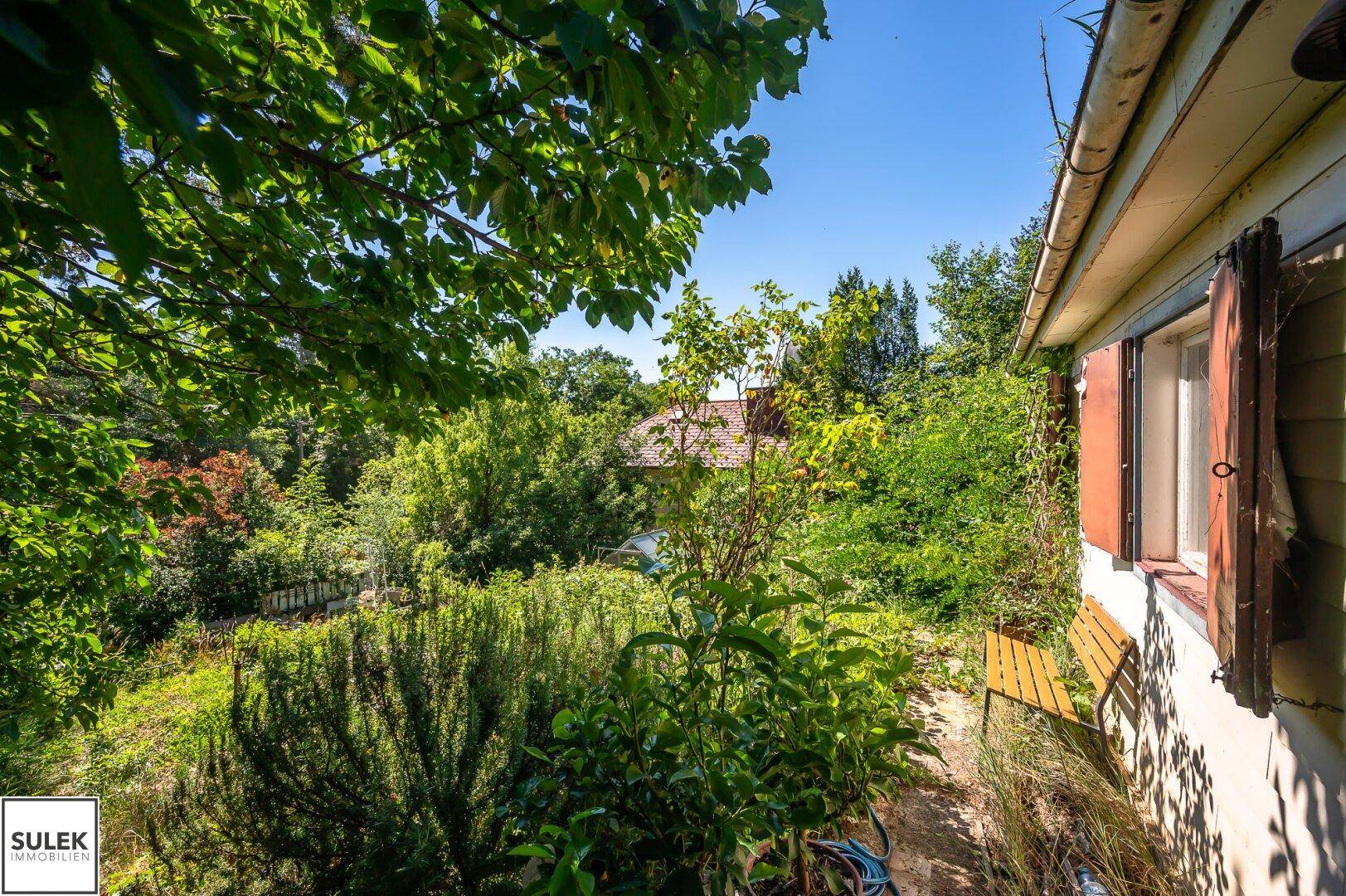 Blick vom kleinen Haus über den verwilderten Garten mit einer Bank und weiteren Gebäuden in der Ferne.
