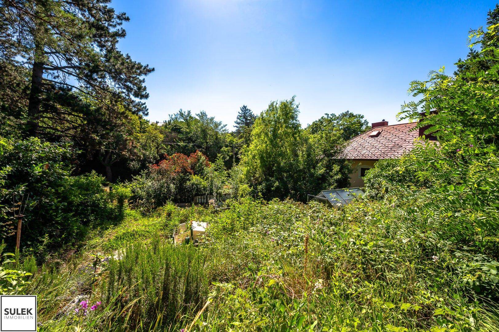 Weitläufiger, verwilderter Gartenbereich mit Blick auf ein Haus mit rotem Dach in der Ferne.