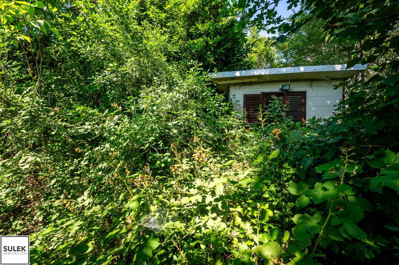 Kleines Gebäude, fast vollständig von dichtem Grün und Bäumen umgeben, in einem verwilderten Garten.
