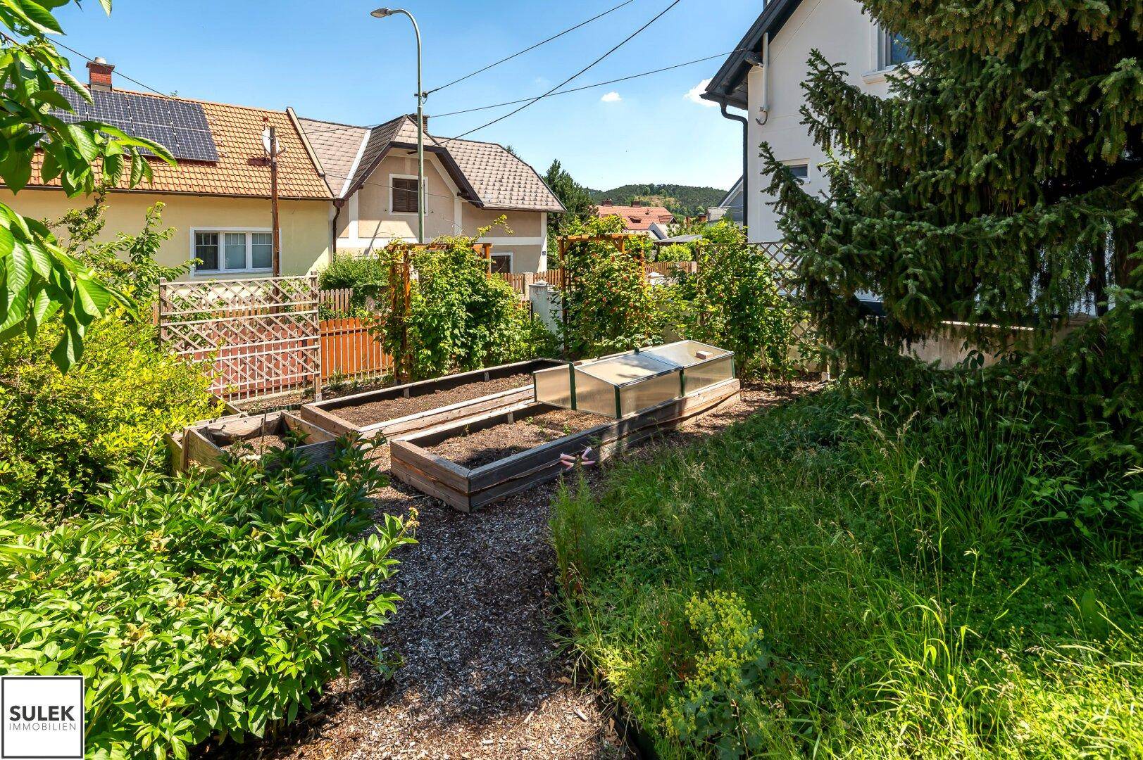 Gepflegter Garten mit Hochbeeten und viel Grün, umgeben von einer Hecke.
