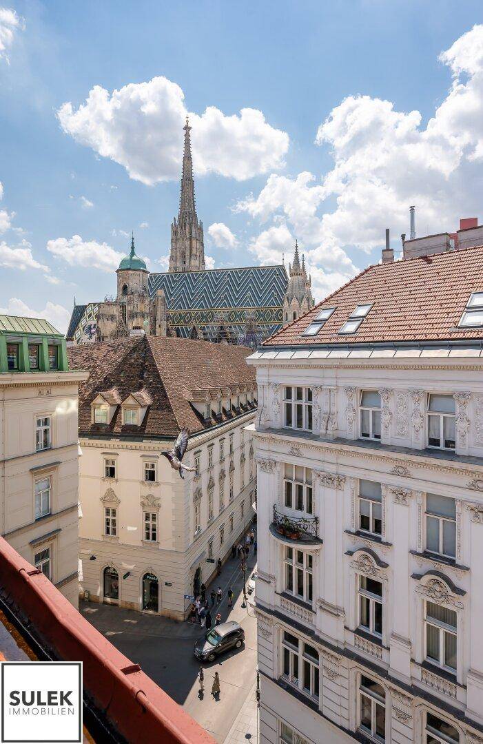 Panoramablick über die Dächer der Stadt mit dem Stephansdom unter blauem Himmel.