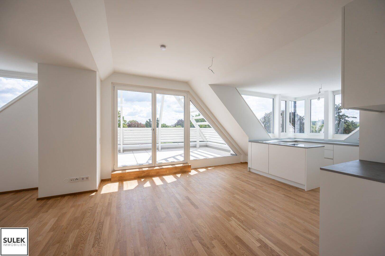 Lichtdurchfluteter Wohnbereich mit offener Küche, Holzboden und direktem Zugang zur Dachterrasse.