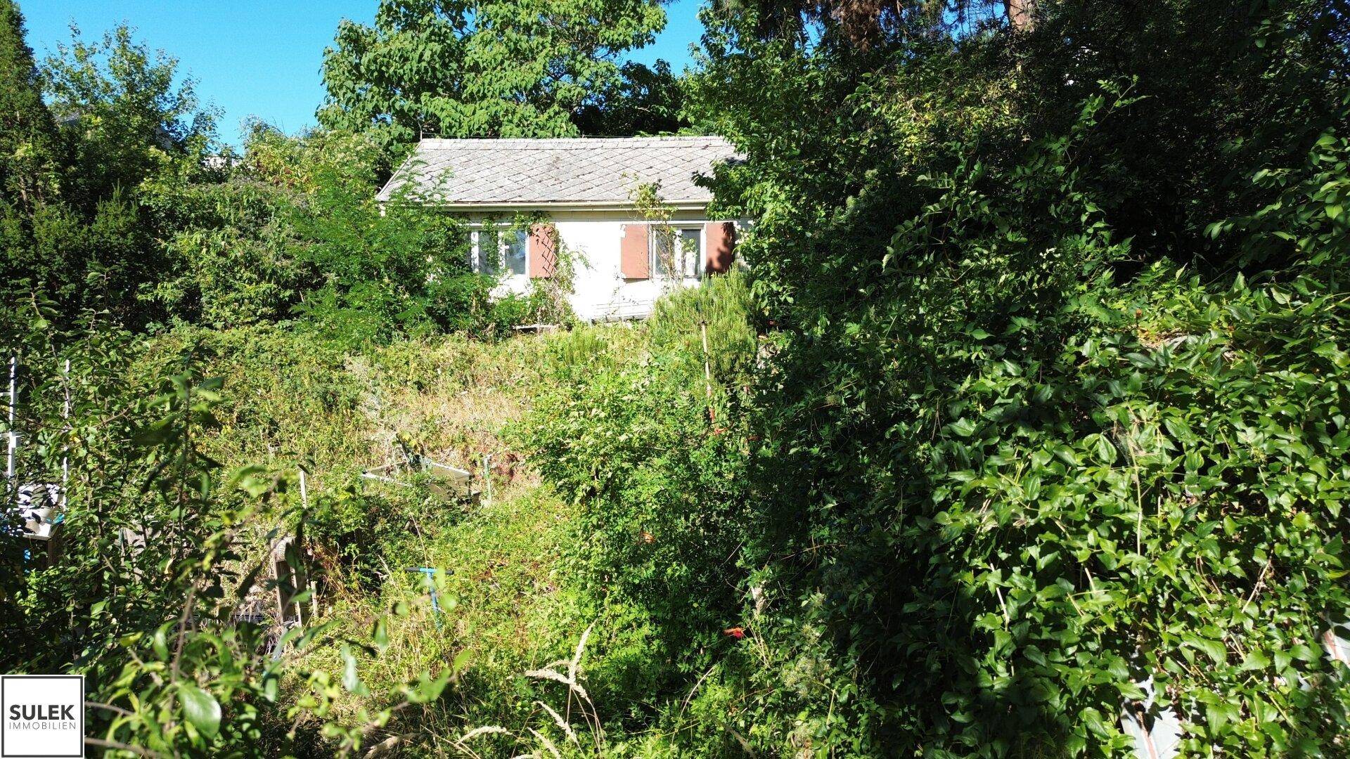 Das kleine Haus ist von üppiger, verwilderter Vegetation umgeben und teilweise verdeckt.
