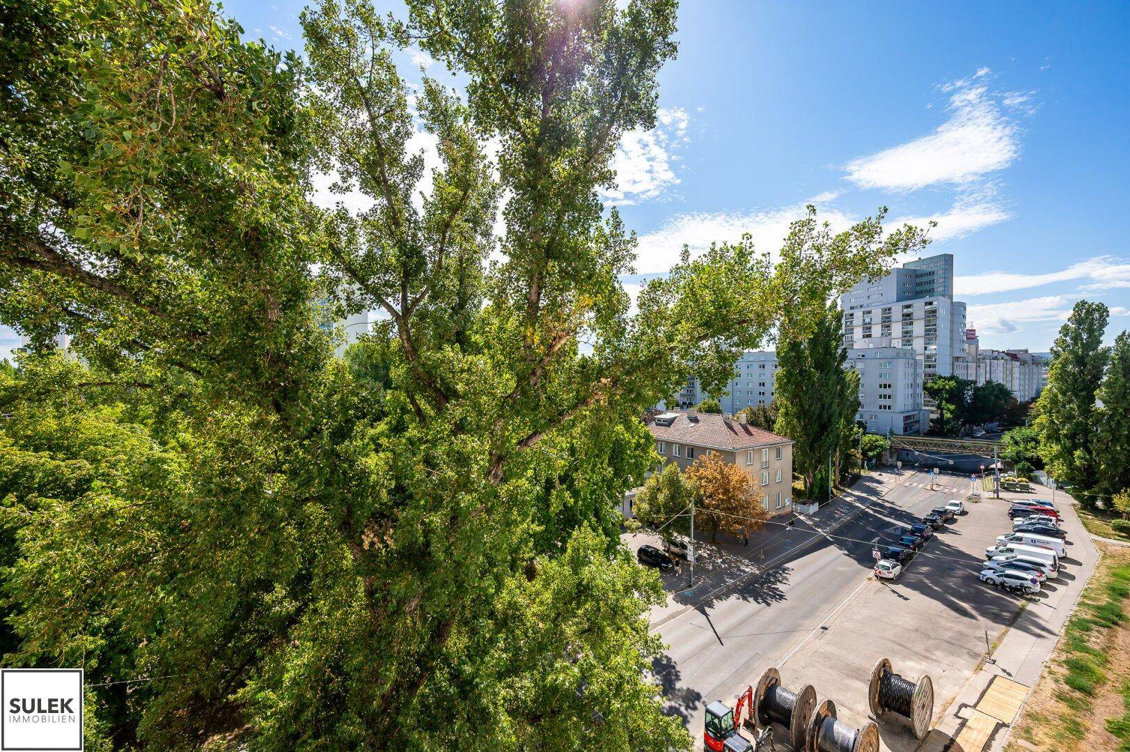 Weitläufiger Blick über grüne Baumwipfel und die städtische Umgebung an einem sonnigen Tag.