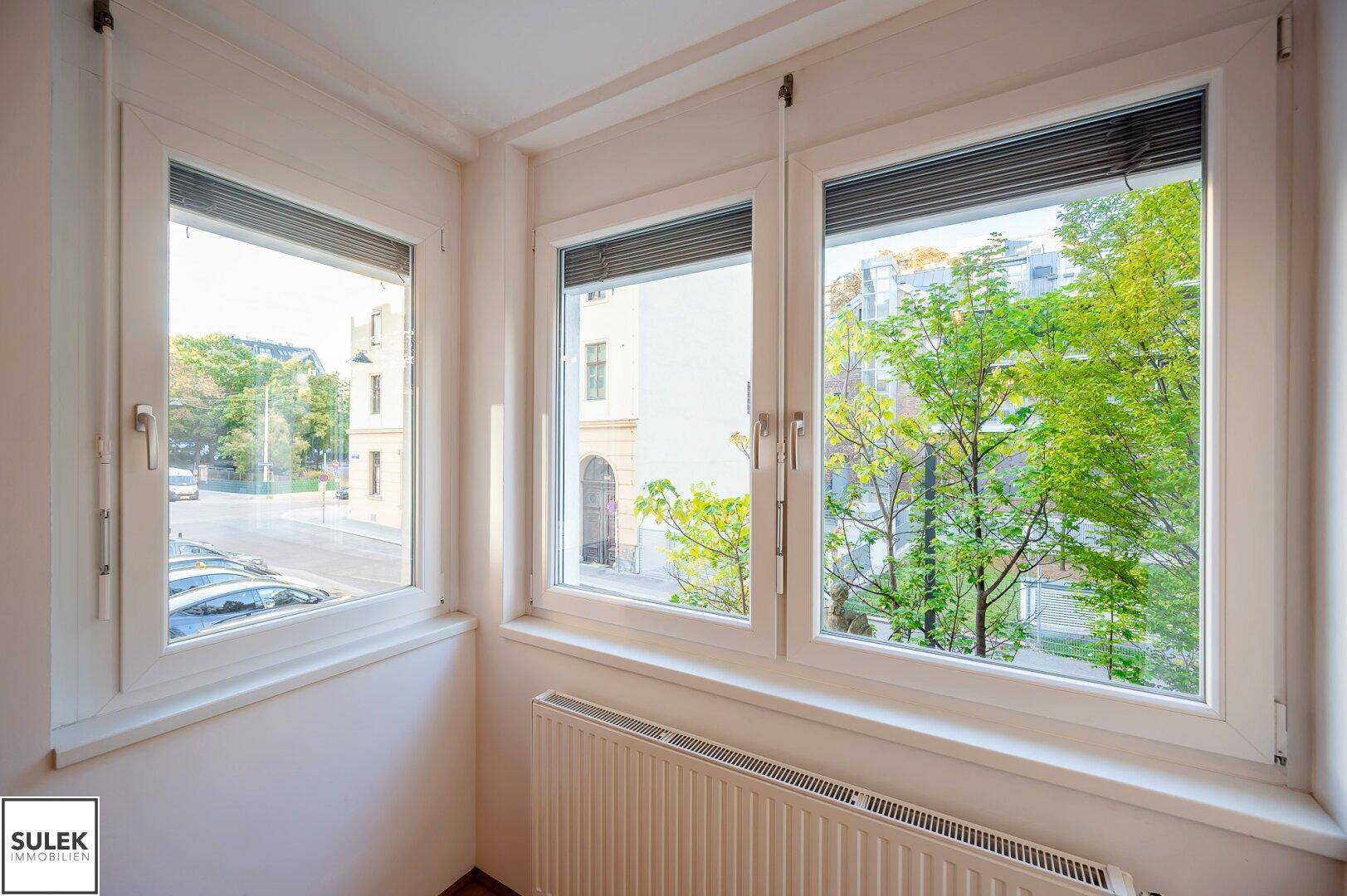 Fenster mit Blick auf grüne Bäume und die Straße, die viel Tageslicht hereinlassen.