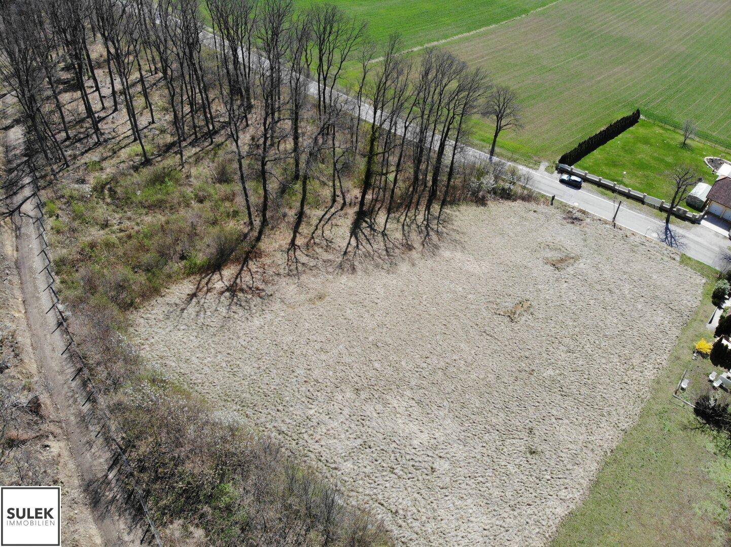 Weitläufiges Grundstück mit angrenzendem Waldrand und einer Zufahrtsstraße, ideal für naturnahes Wohnen.