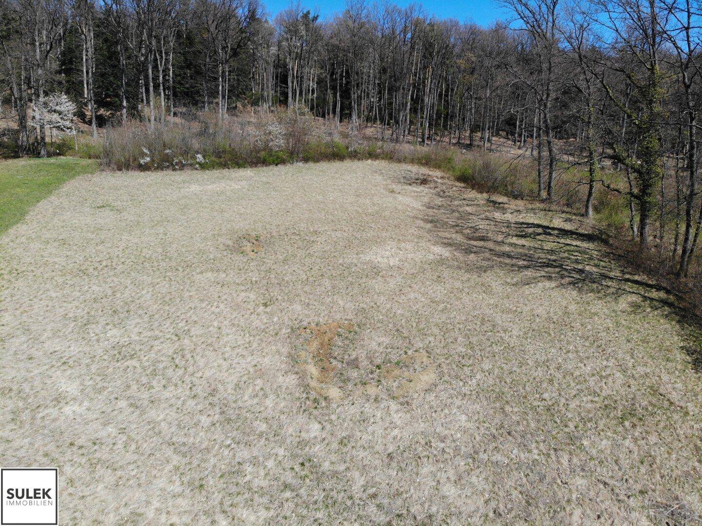 Bodennahe Ansicht eines weitläufigen, unbebauten Grundstücks mit trockenem Gras und einem Wald im Hintergrund.
