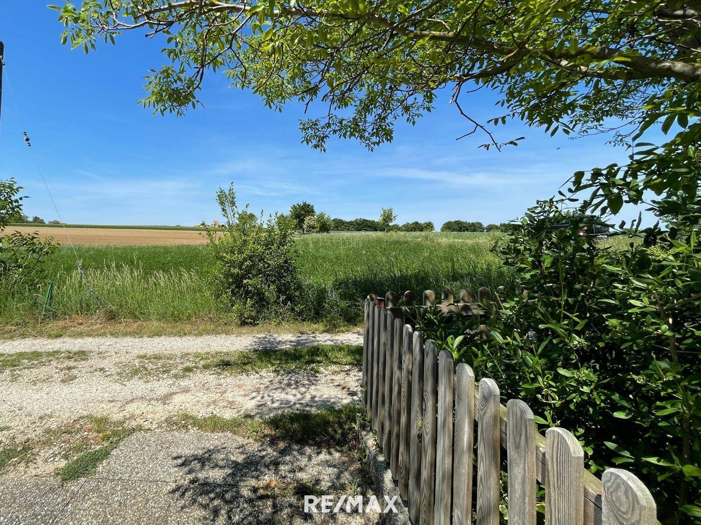 Ausblick