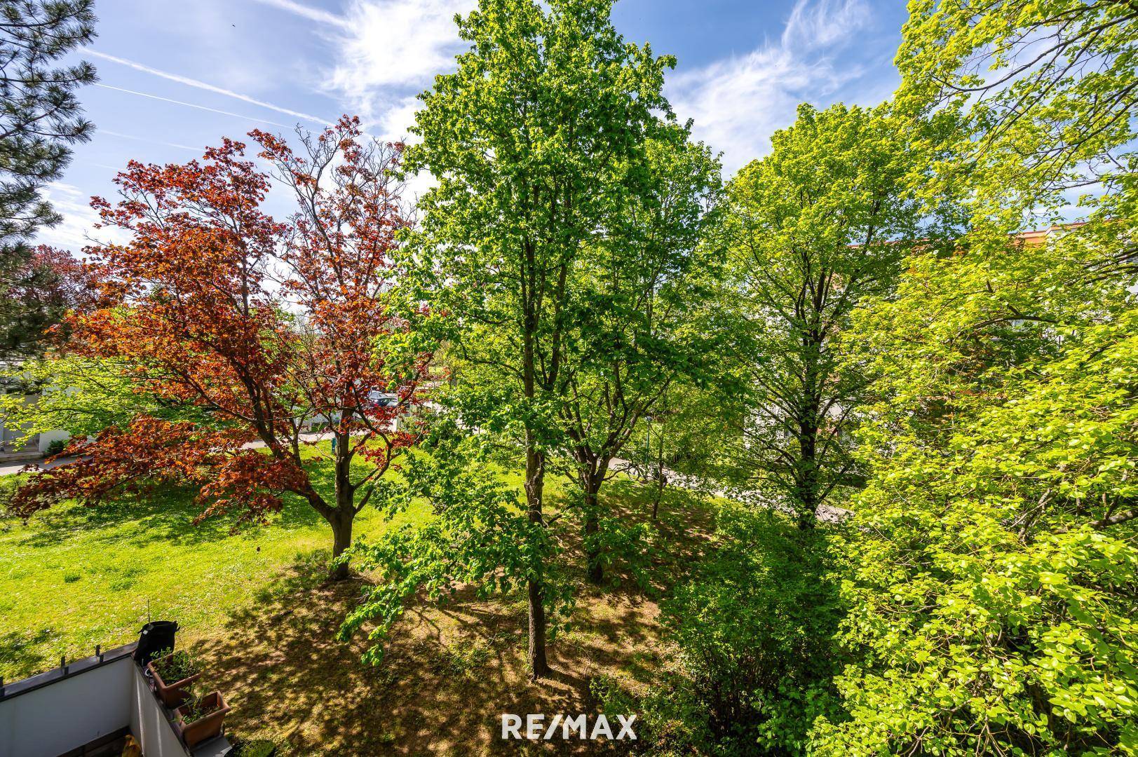 08 Gartenblick