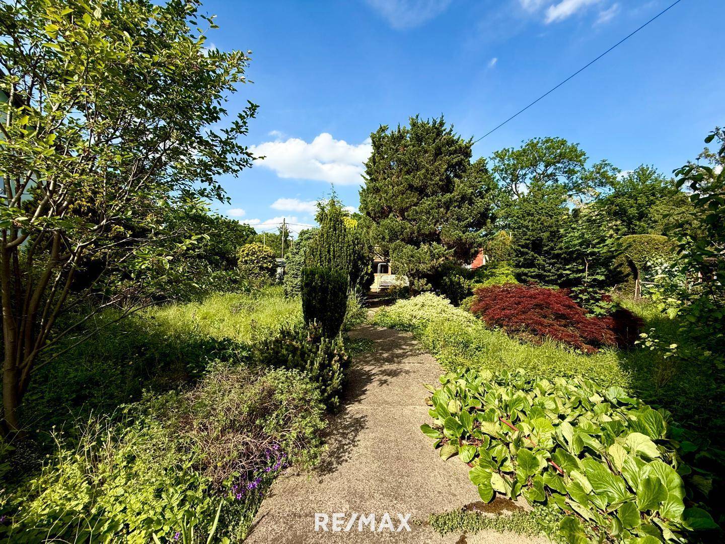 Zugang Garten II