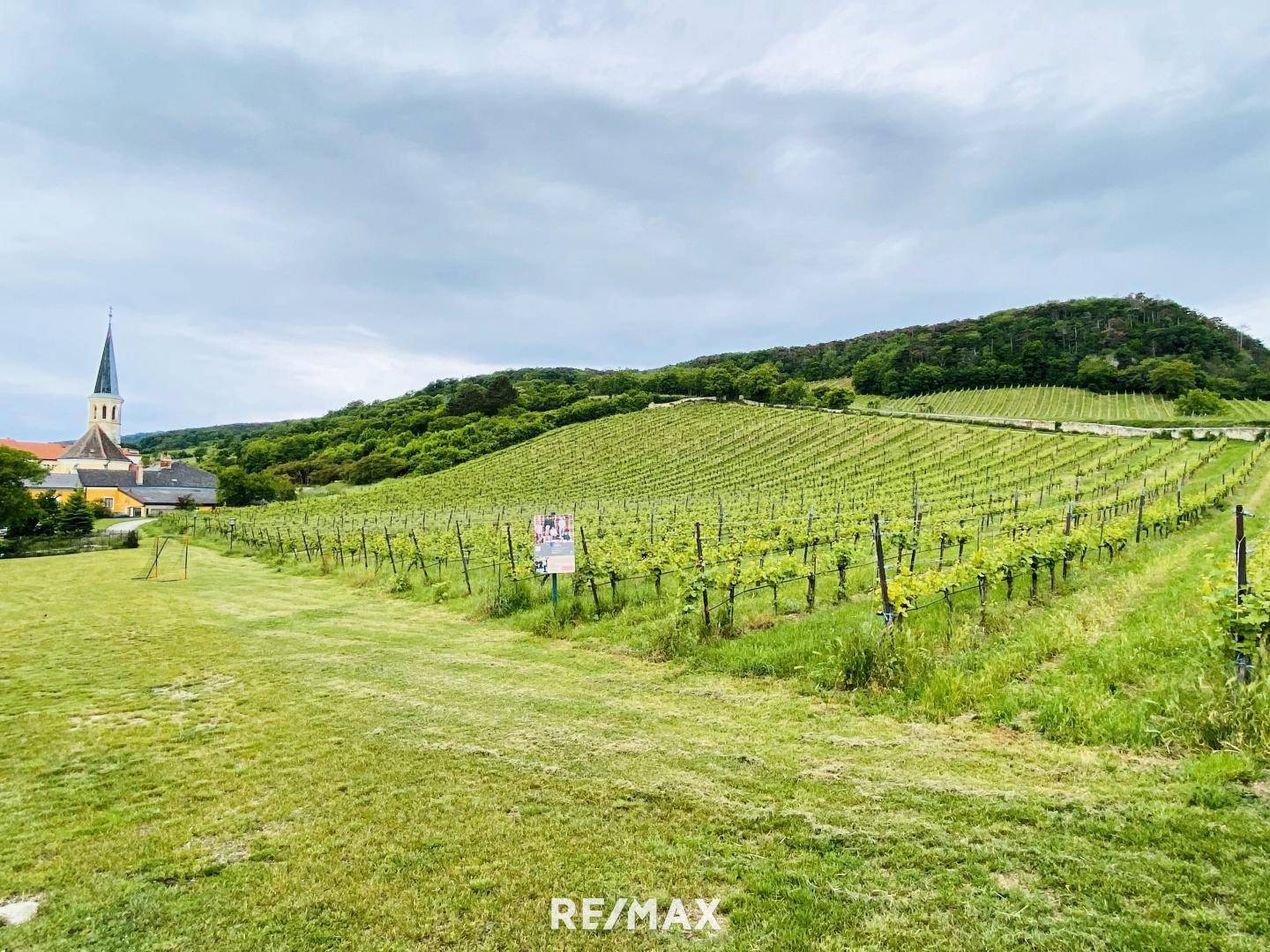 19_Weinregion_Gumpoldskirchen