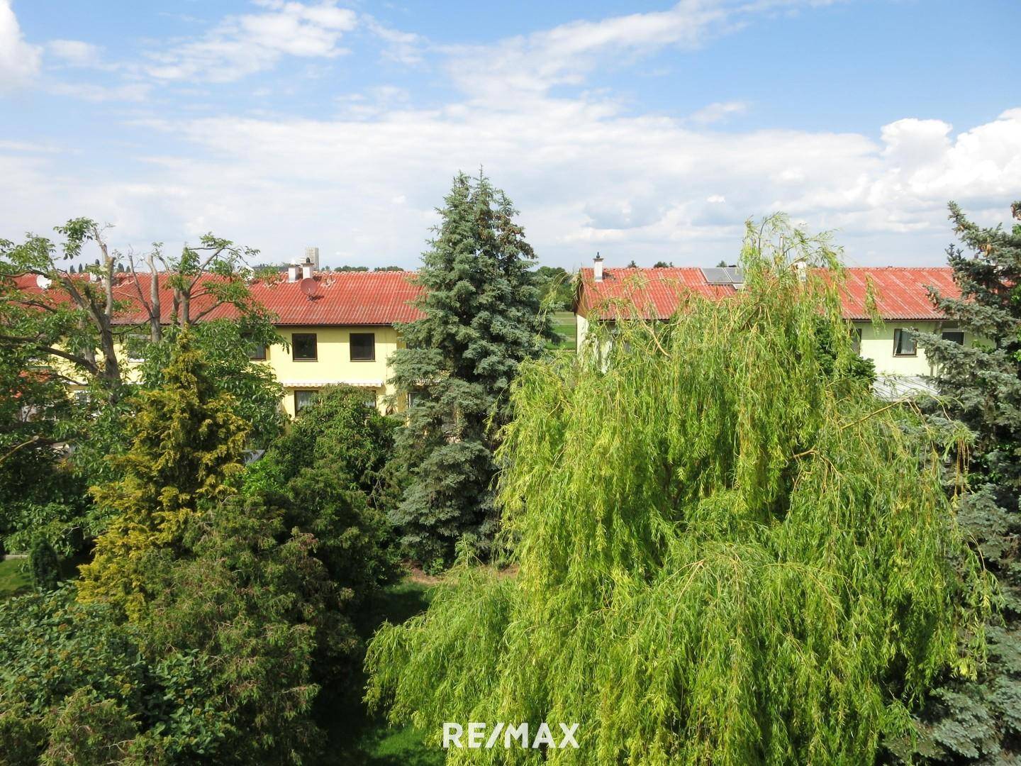 19 Ausblick - DG
