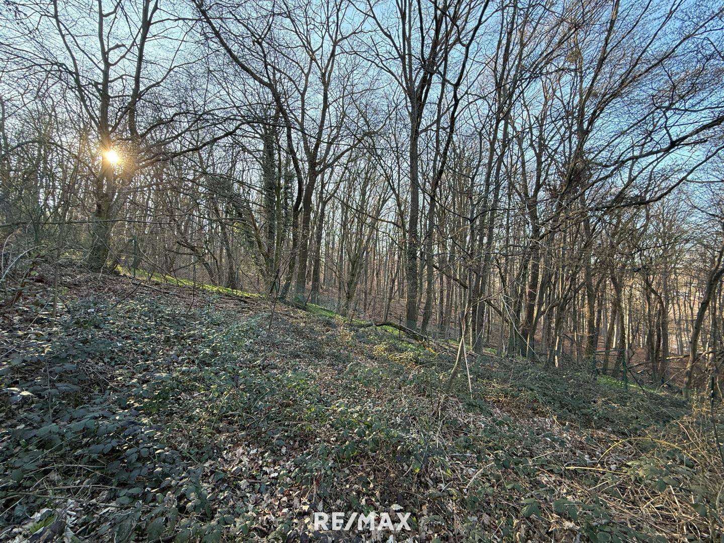 Grundstu¨ck_Eselstiege