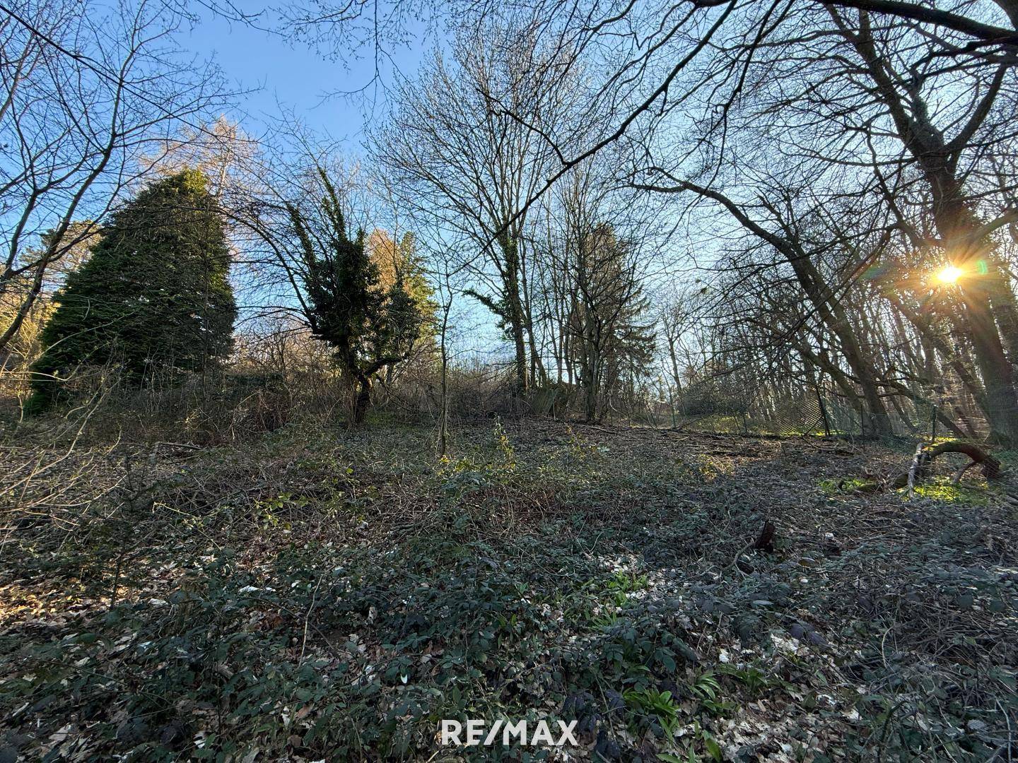 Grundstu¨ck_Eselstiege