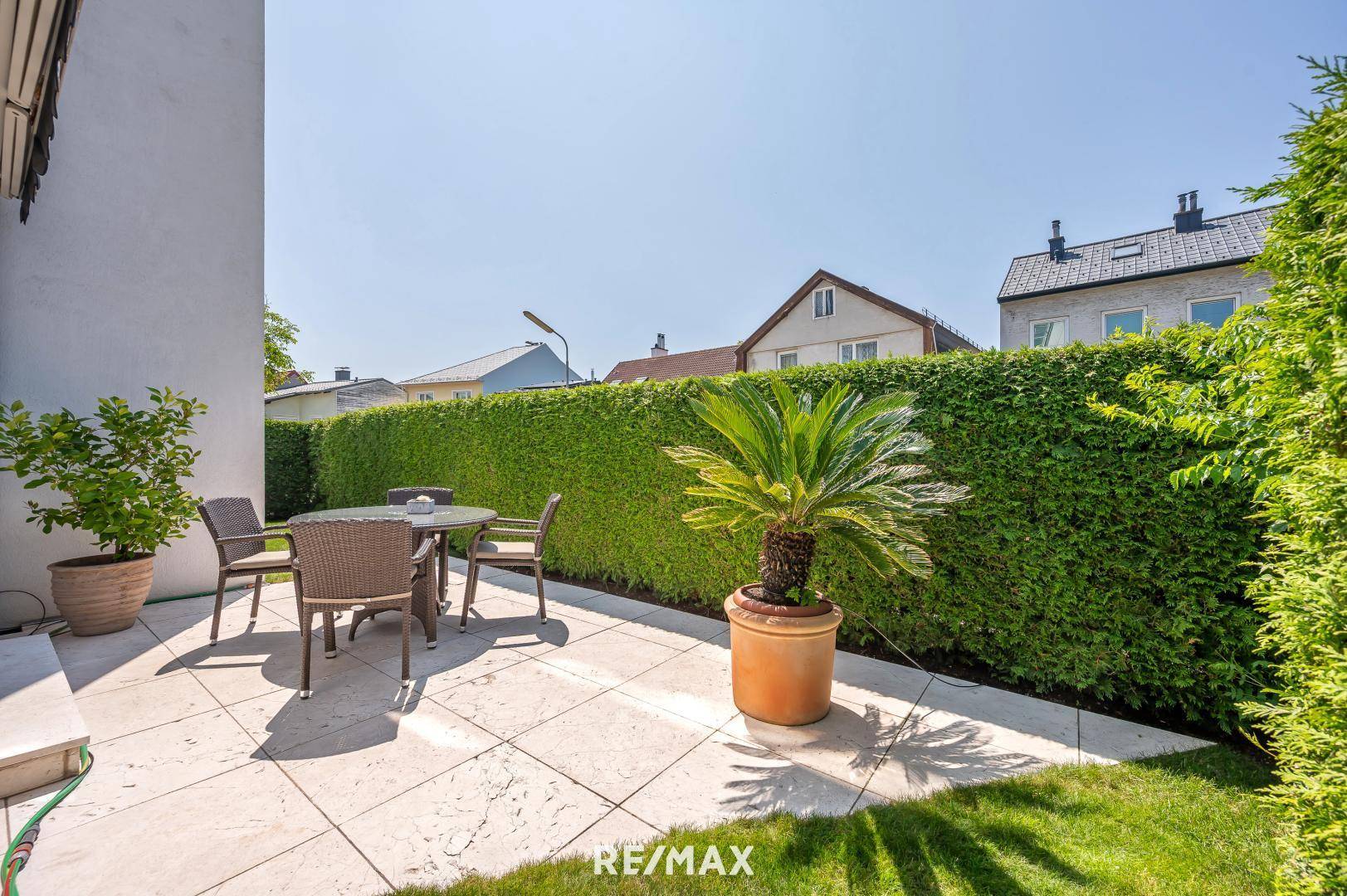 Garten & Palme