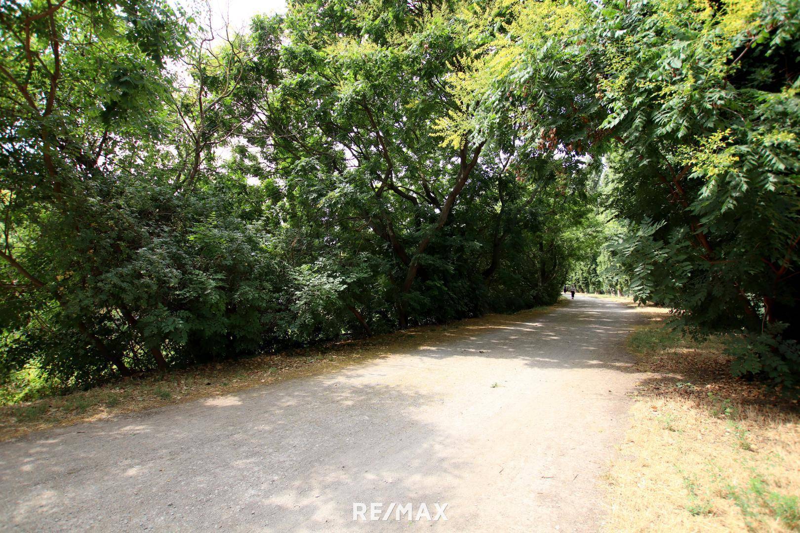 Umgebung - Weg am Liesingbach
