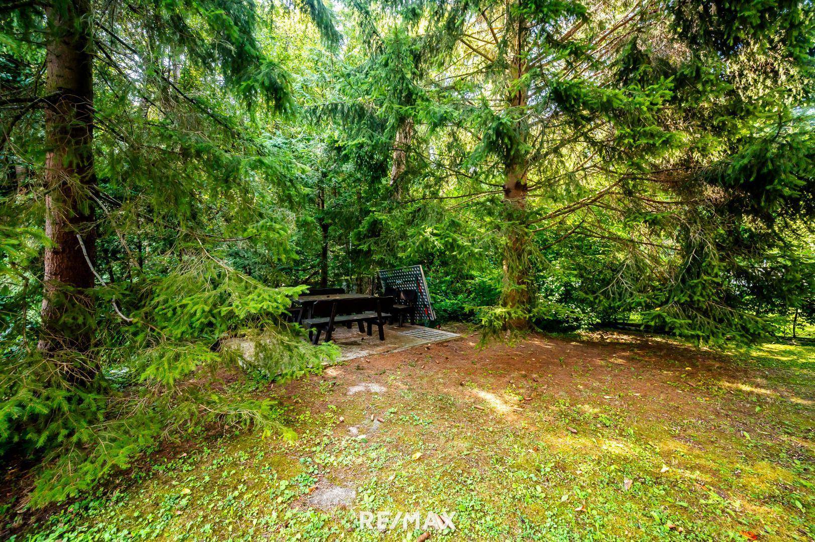 Garten_2