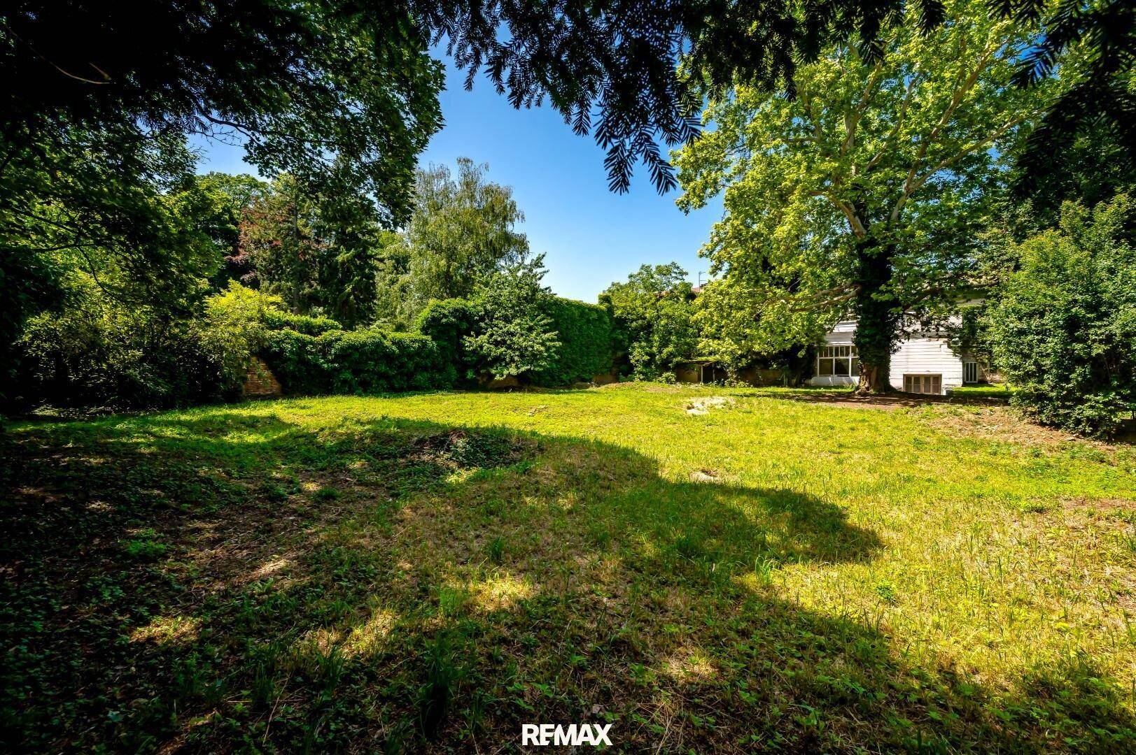 Großer sonniger Garten mit weitläufiger Rasenfläche, umgeben von altem Baumbestand und dichtem Grün.