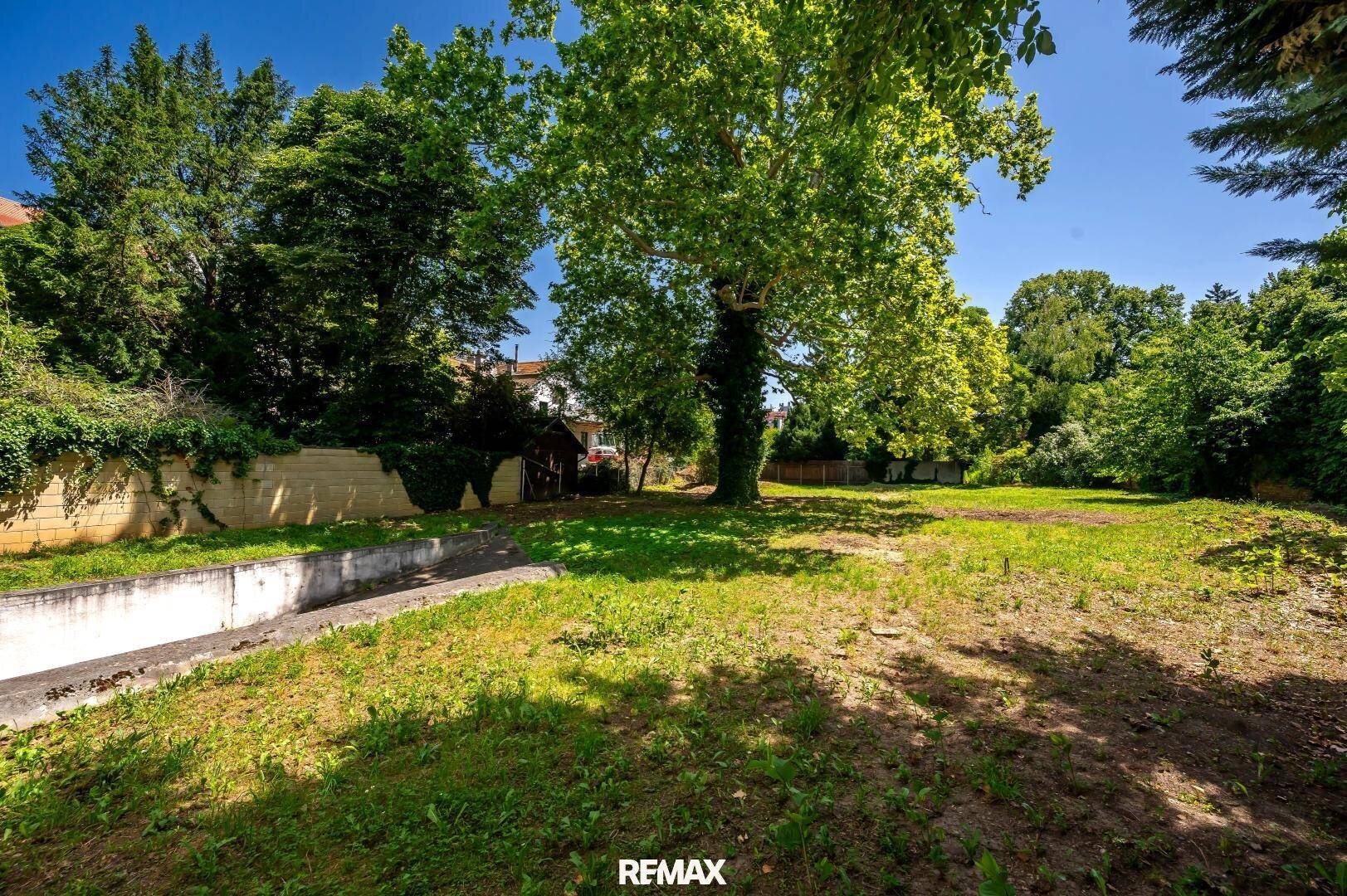 Großer Gartenbereich mit Rasenfläche, altem Baumbestand und einer Betonmauer.