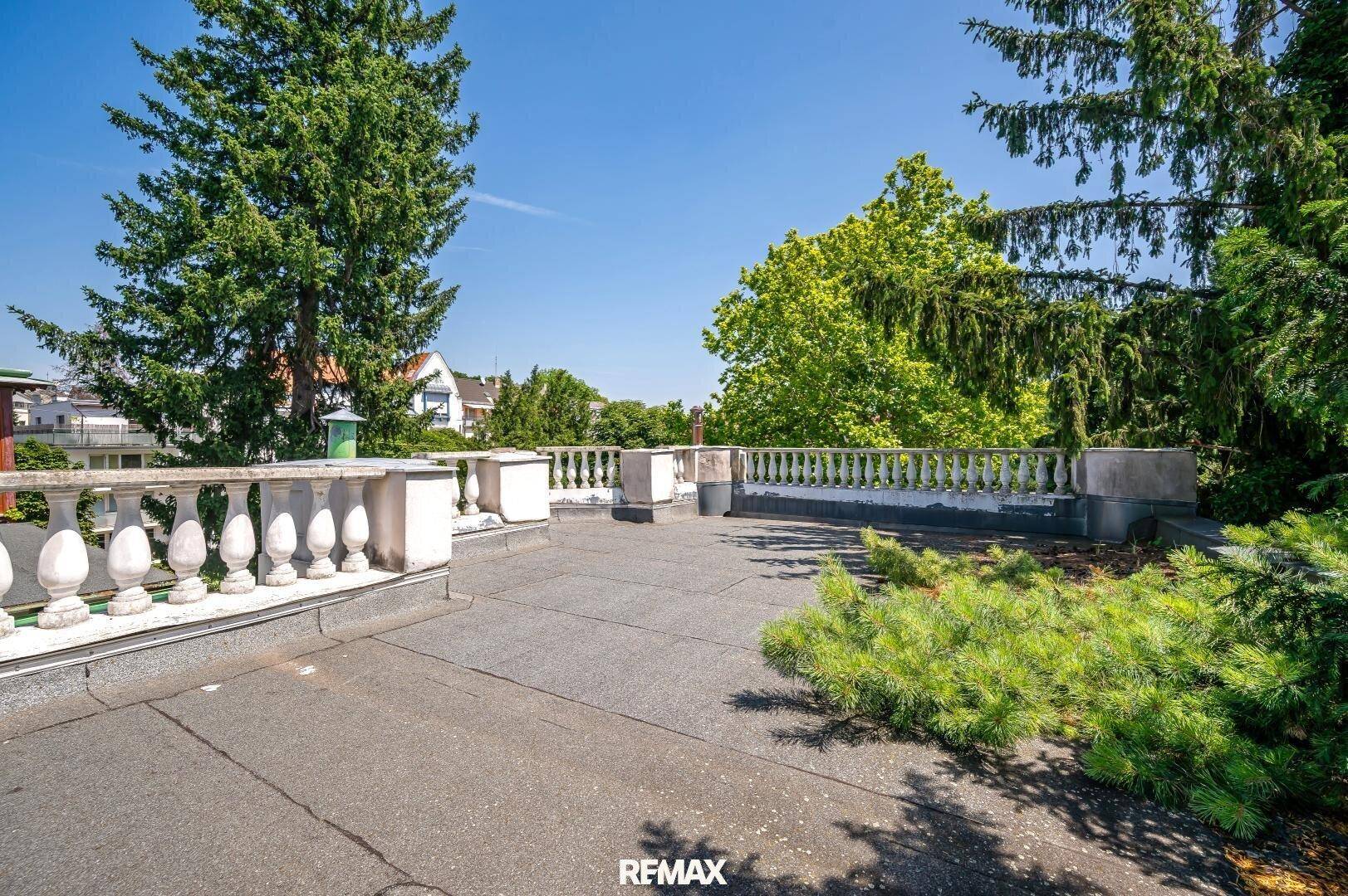 Weitläufige Dachterrasse mit Zierpflanzen und klassischer Balustrade unter blauem Himmel.