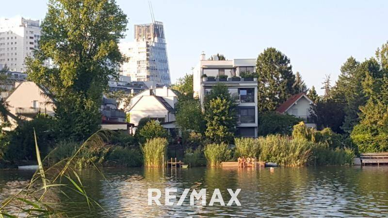Nähe Kaiserwasser, Alte Donau
