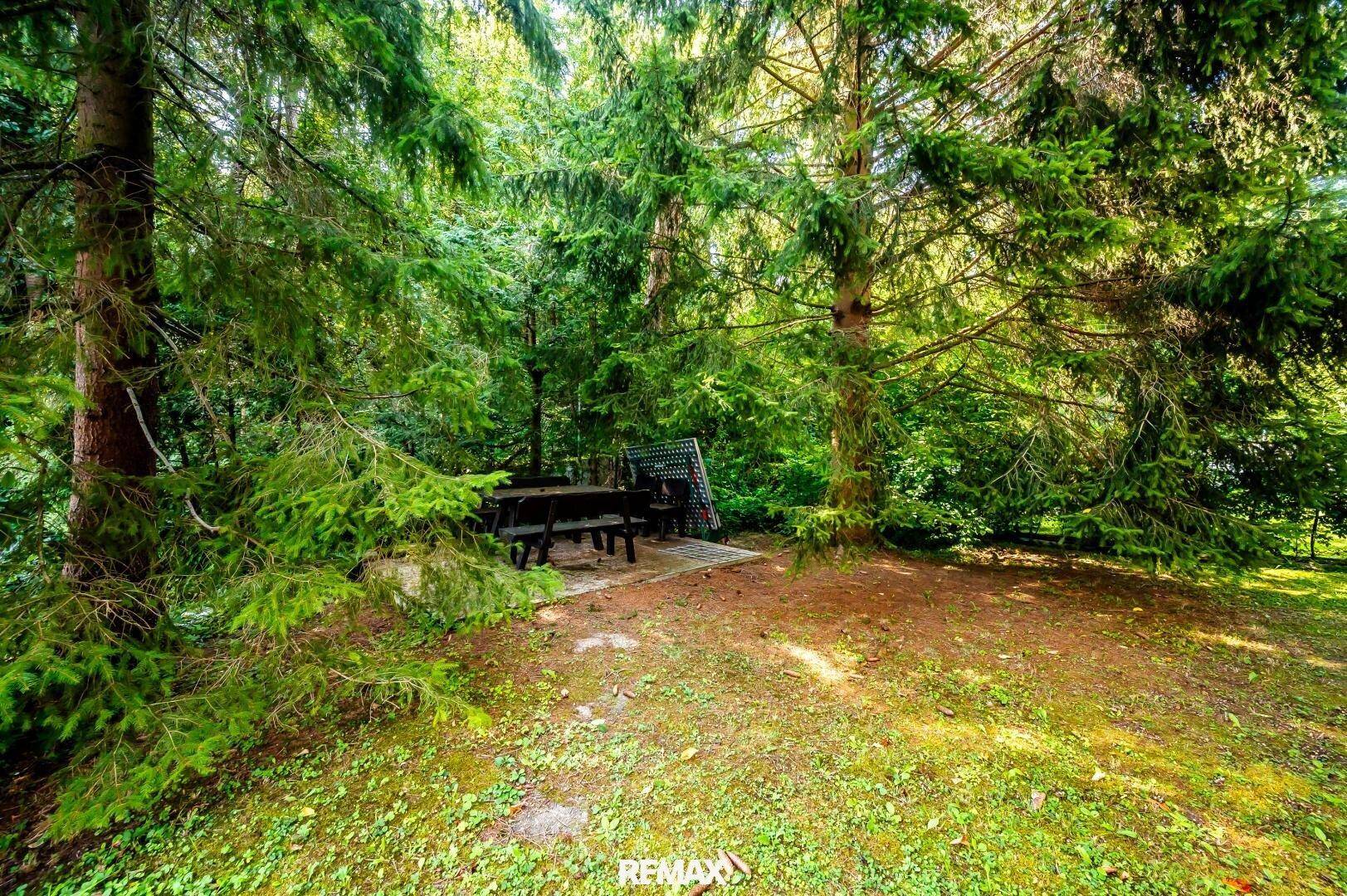 Garten_2