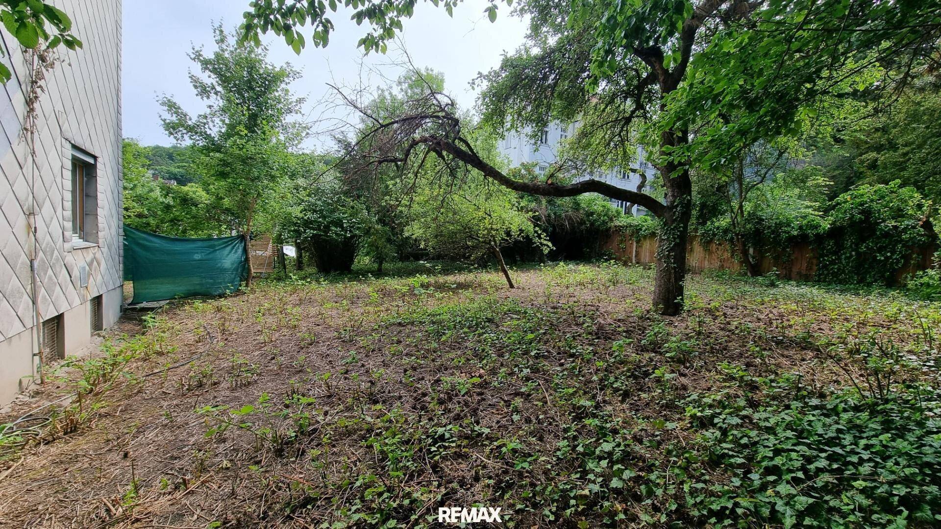 Verwilderter Gartenbereich neben dem Gebäude mit altem Baumbestand und üppigem Grün.